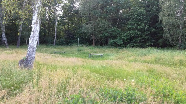 Revitalizace plochy mezi dolní částí ulice Lesní a MŠ v ulici Zahradní. Vybudování areálu víceúčelového a vícegeneračního hřiště.