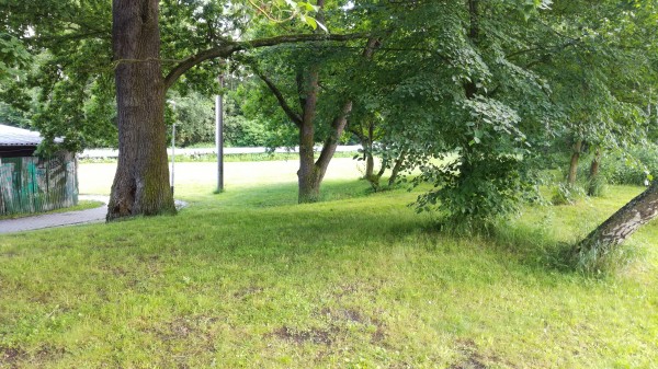 Revitalizace plochy mezi dolní částí ulice Lesní a MŠ v ulici Zahradní. Vybudování areálu víceúčelového a vícegeneračního hřiště.